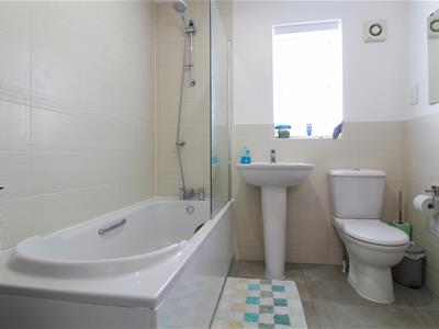 Picture 14